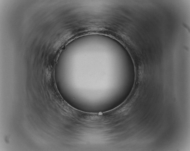 X0000101681257200807171403