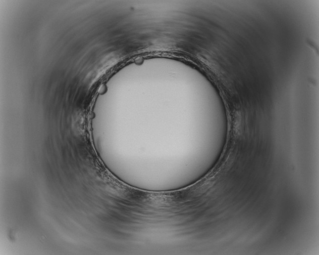 X0000101681258200807171403