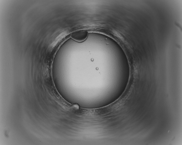 X0000101681259200807171403