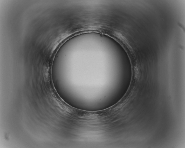 X0000101681260200807171403