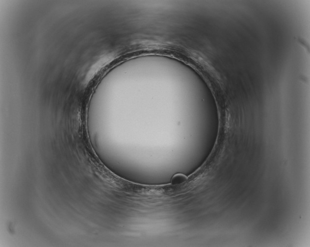 X0000101681261200807171403