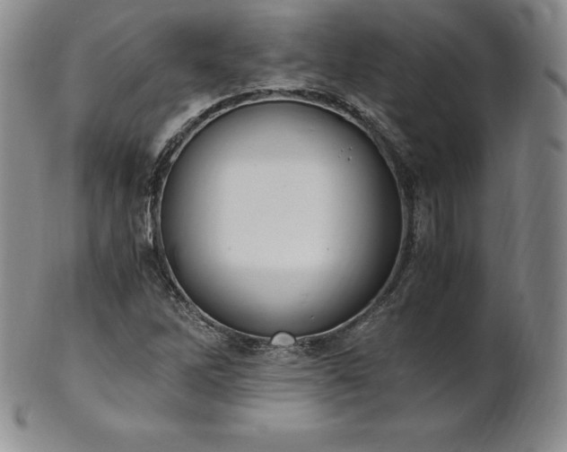 X0000101681262200807171403