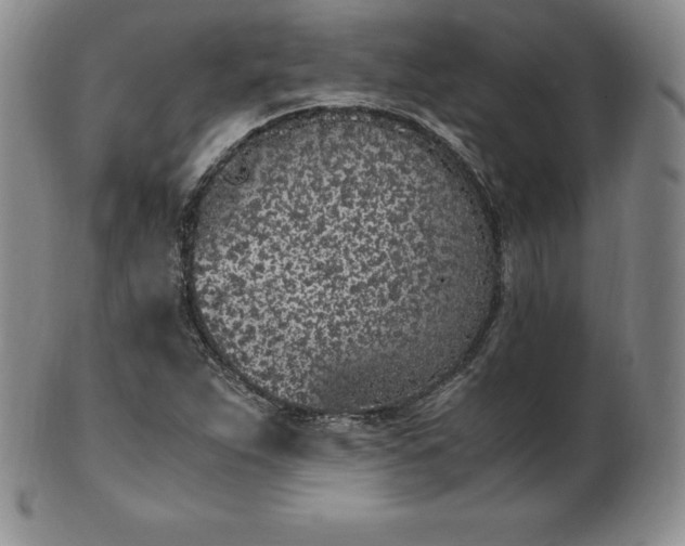 X0000101681263200807171403