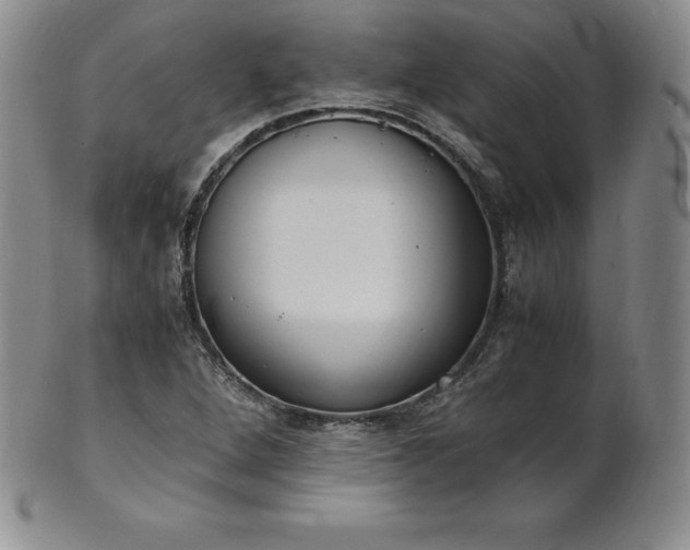 X0000101681264200807171403