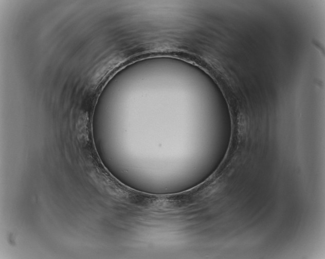 X0000101681265200807171403