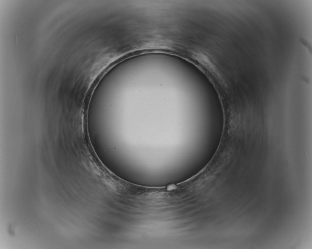 X0000101681268200807171403