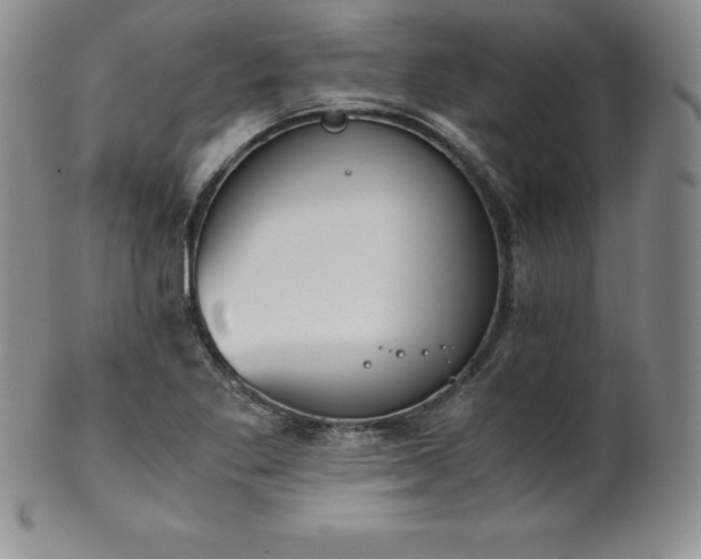 X0000101681269200807171403