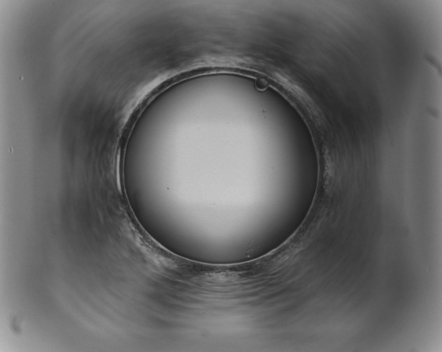 X0000101681272200807171403