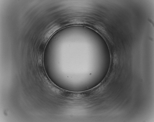 X0000101681273200807171403