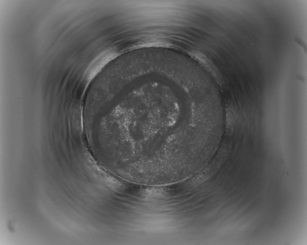 X0000101681274200807171403