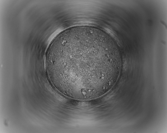 X0000101681275200807171403