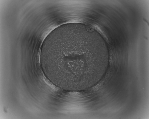 X0000101681276200807171403