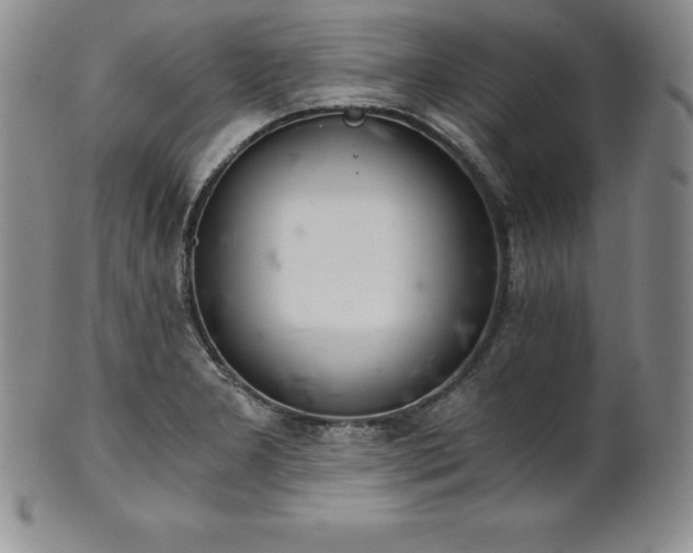 X0000101681277200807171403