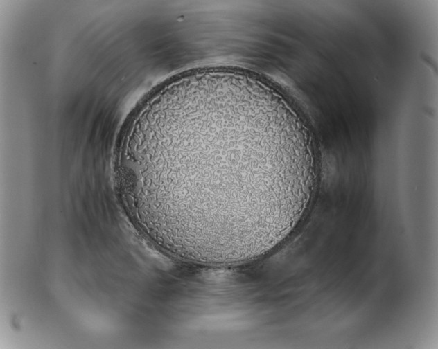 X0000101681278200807171403