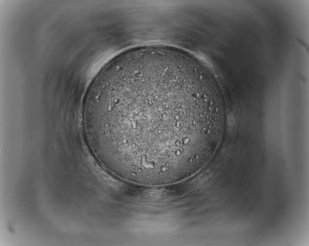 X0000101681279200807171403