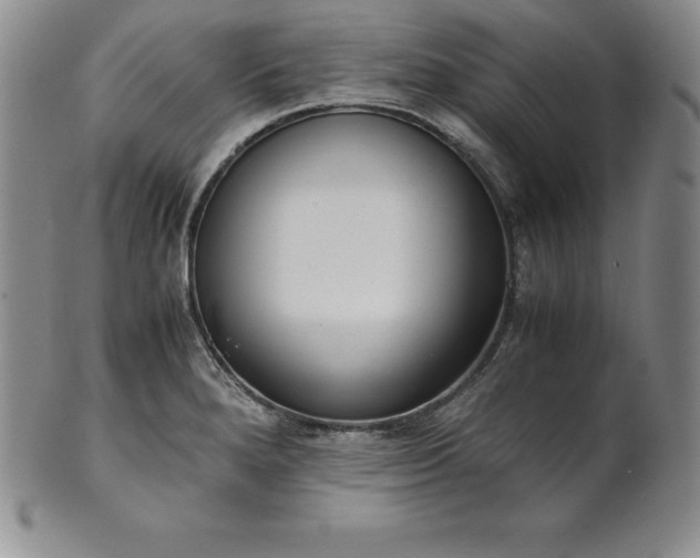 X0000101681280200807171403