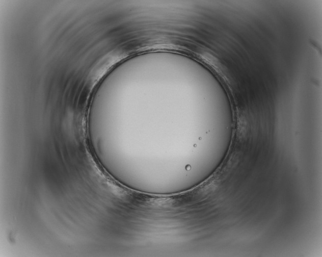 X0000101681282200807171403