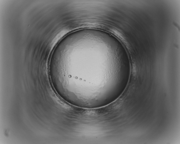 X0000101681283200807171403