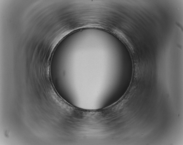 X0000101681284200807171403