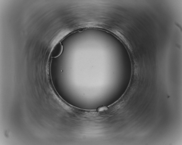 X0000101681285200807171403