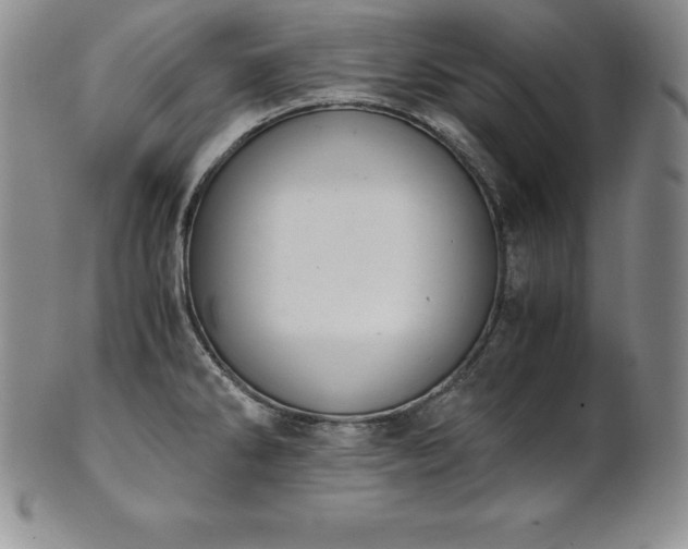 X0000101681286200807171403