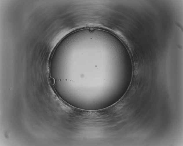 X0000101681287200807171403