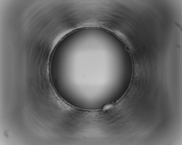 X0000101681288200807171403