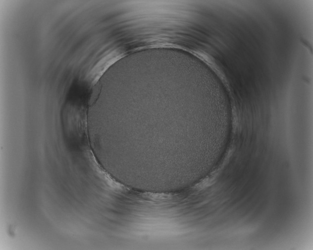 X0000101681289200807171403