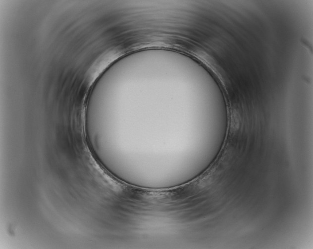 X0000101681290200807171403