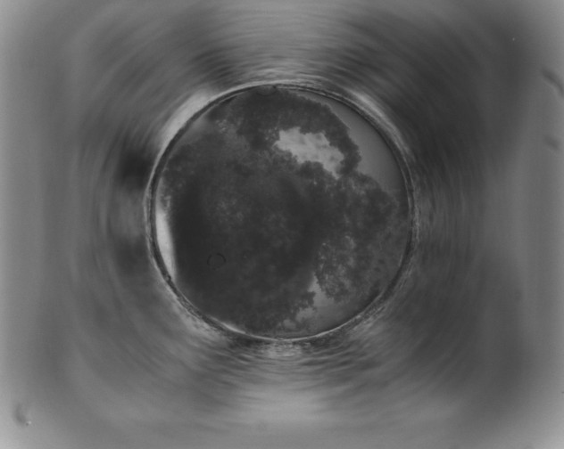 X0000101681291200807171403