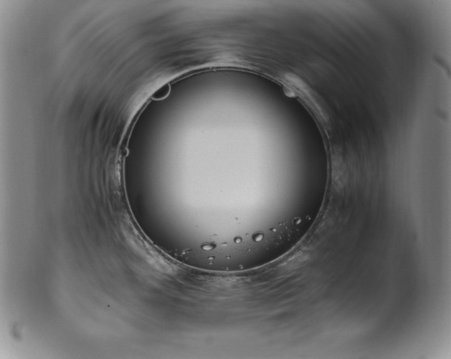 X0000101681292200807171403