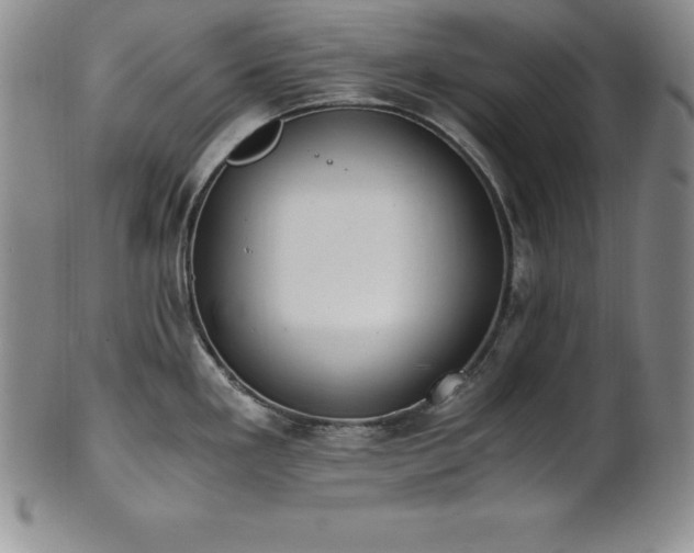 X0000101681293200807171403