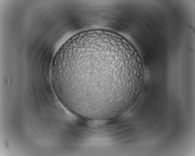 X0000101681294200807171403