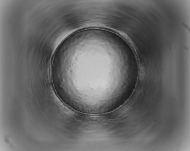 X0000101681295200807171403