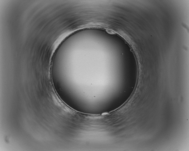 X0000101681296200807171403