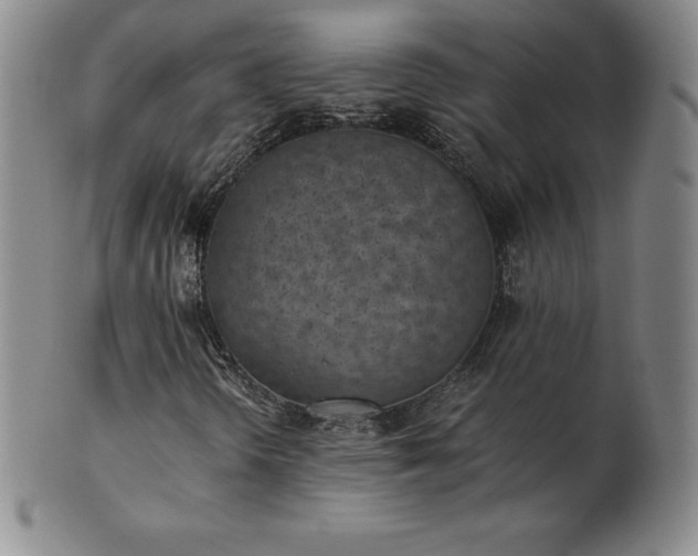 X0000101681298200807171402