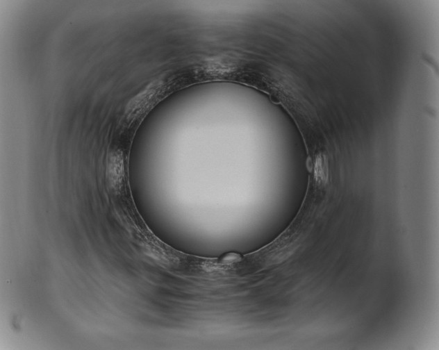 X0000101681299200807171402