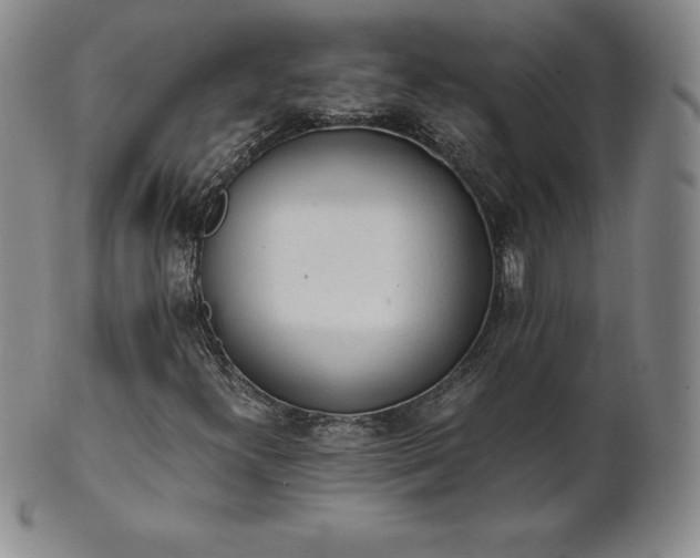 X0000101681300200807171402