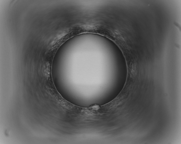 X0000101681301200807171402