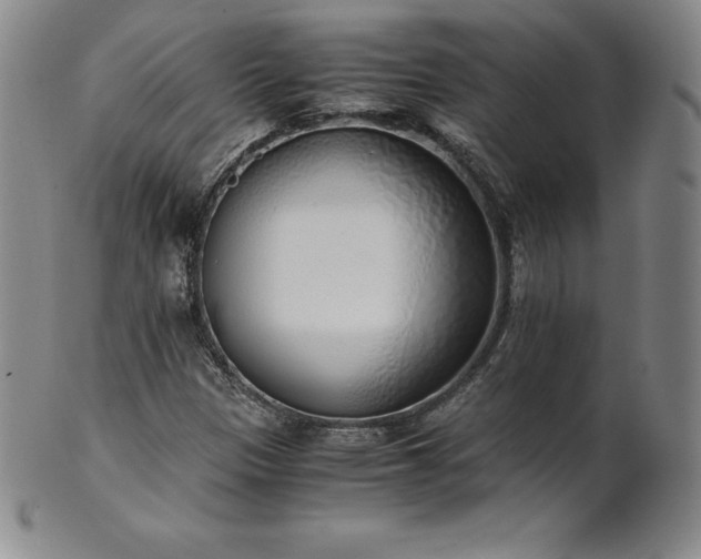 X0000101681305200807171402