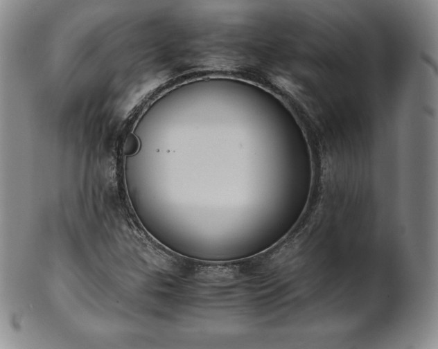 X0000101681307200807171402