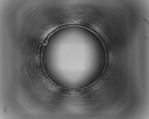 X0000101681308200807171402