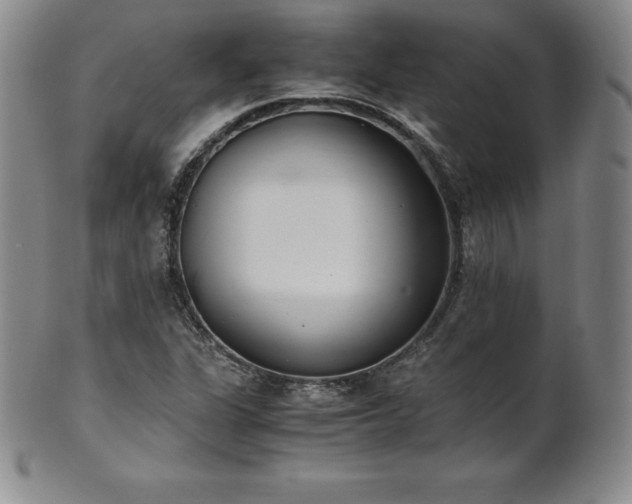 X0000101681311200807171402