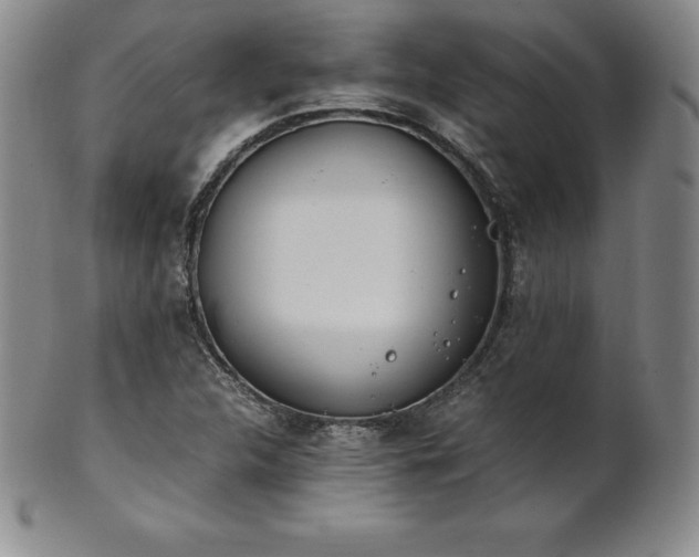 X0000101681312200807171402