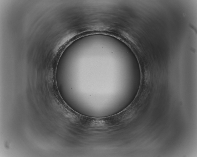 X0000101681315200807171402