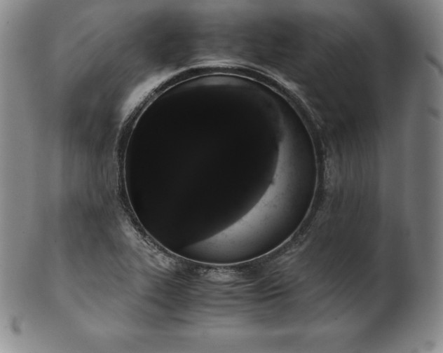 X0000101681319200807171402