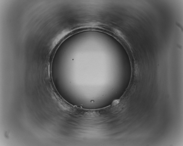 X0000101681320200807171402