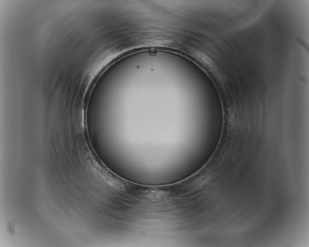 X0000101681324200807171402