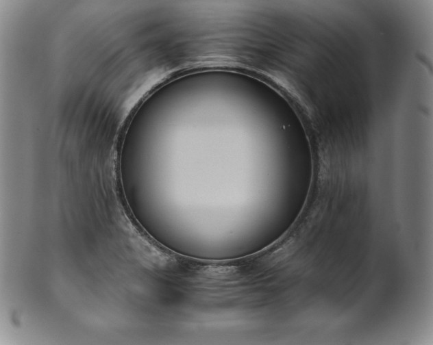 X0000101681325200807171402