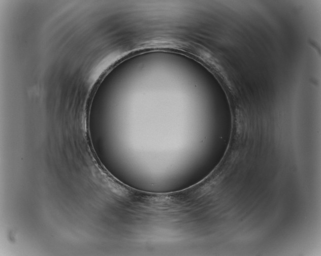 X0000101681328200807171402